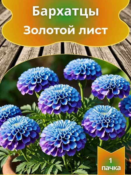Бархатцы Золотой лист, семена 10 шт.