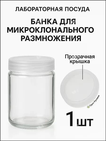 Премиумконтейнер 0,35 л для микроразмножения культур применяется в работе