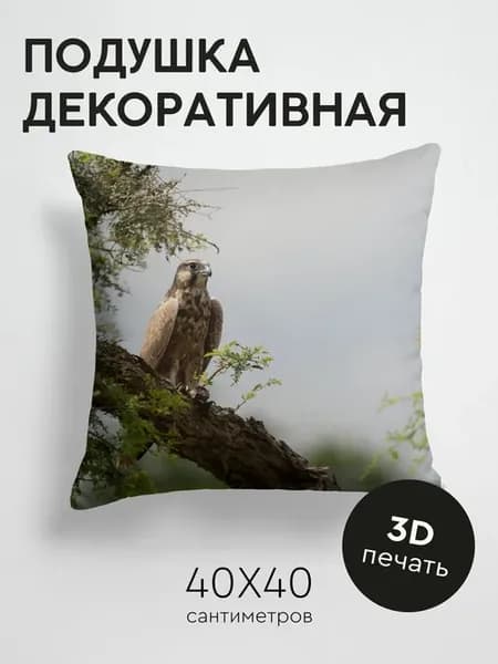 Подушка декоративная, 40x40см Животные сокол птица