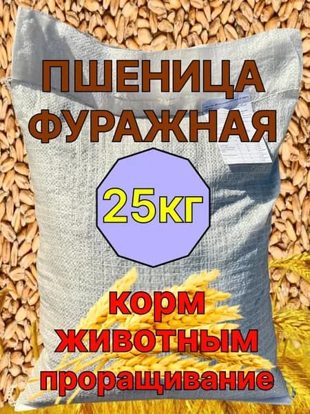 Пшеница зерно для проращивания кормовая фуражная 25кг