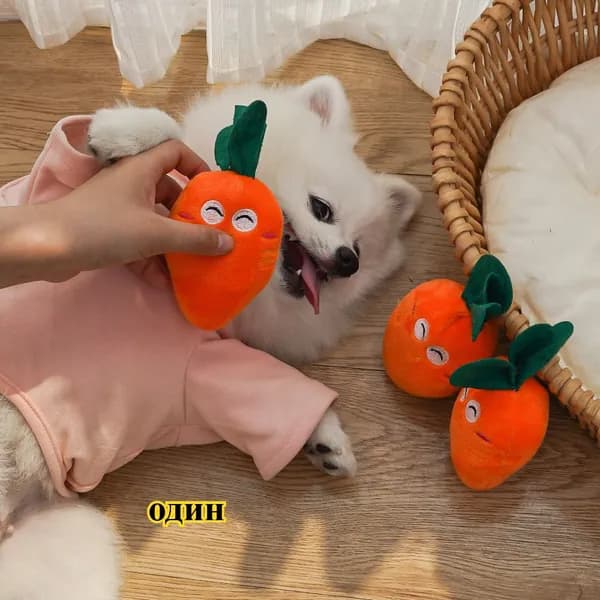 Мягкая игрушка для собак и кошек с пищалкой в виде кости, куриной ножки, фруктов и моркови: прочная, для грызения