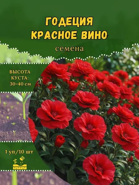 Годеция "Красное Вино" семена, 1 пачка
