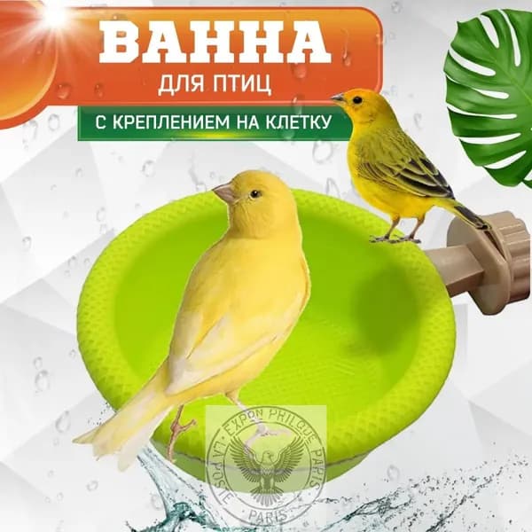 Ванночка для животных