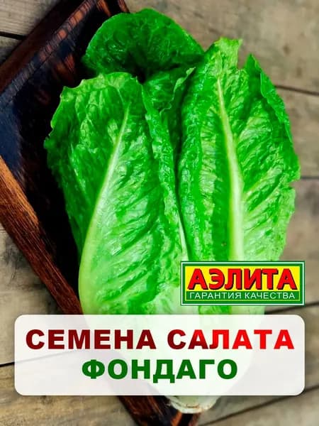 Семена салат "Фондаго", 0,5 г, для дома, дачи и огорода, салат из семян, в открытый грунт