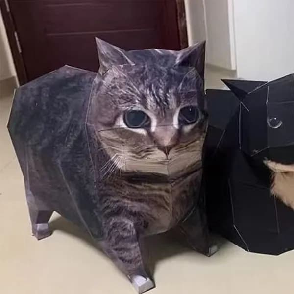 Модель из бумаги кота