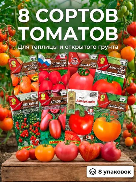 Семена томата, помидоры