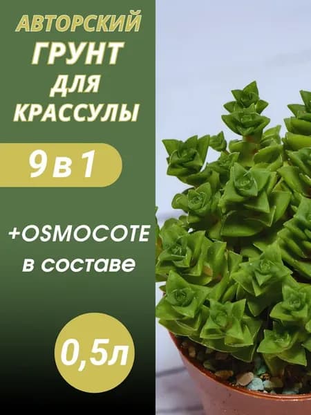Грунт для Крассулы 0.5л готовый