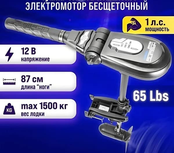 HASWING, Лодочный мотор, тип мотора: Электродвигатель
