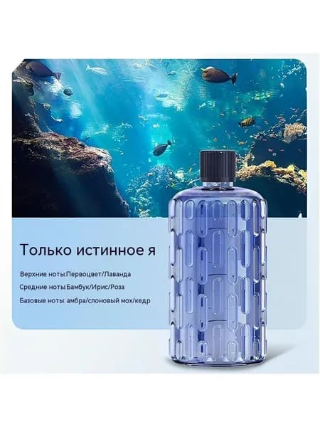 Увлажнитель воздуха FHJ025, коричневый