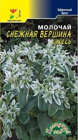 Молочай Снежная вершина смесь