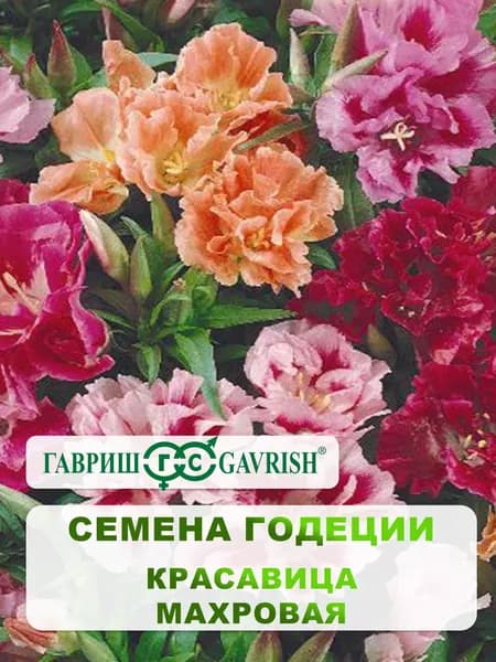 Семена Годеции "Красавица" махровая смесь 0,1 гр.