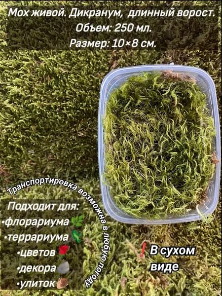 Мох для флоррариумов