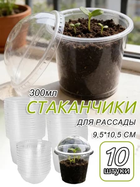 Кассета для рассады