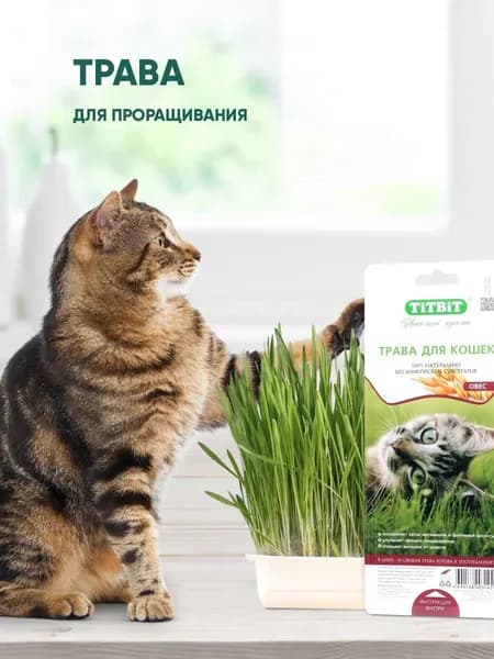 Лакомство для любых кошек, Трава "Titbit", в лотке