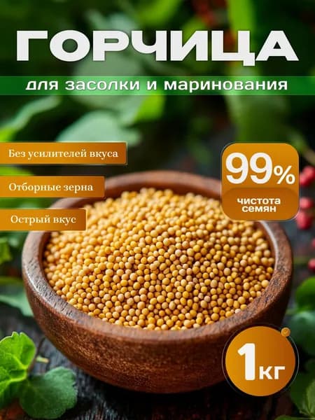 Семена горчицы для засолки 1 кг