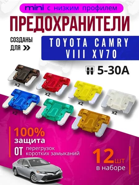 Предохранители для Тойота Камри 8 XV70 (Toyota Camry VIII XV70) / автомобильный набор Мини с низким профилем, 12 штук с пинцетом / флажковые 5-30 А