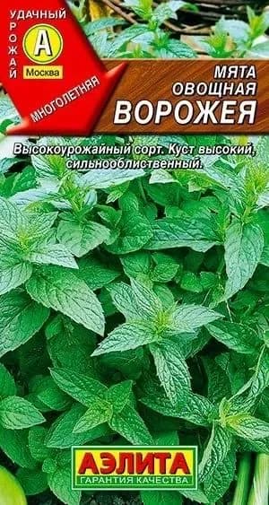 Мята овощная "Ворожея" семена Аэлита для дома, балкона, подоконника и огорода, 0,04 гр