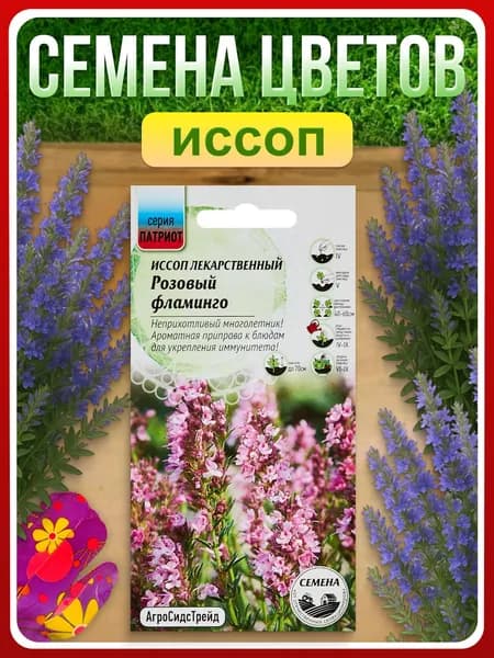 Семена Иссоп "Розовый Фламинго", 0,3 г, многолетние цветы, для дачи и сада, для клумбы и бордюра, в открытый грунт и контейнеры