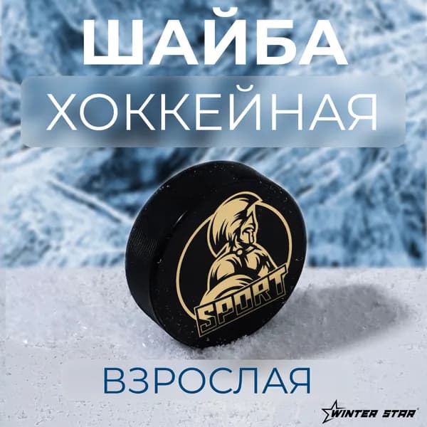 Шайба хоккейная Winter Star, взрослая , диаметр 7,6 см