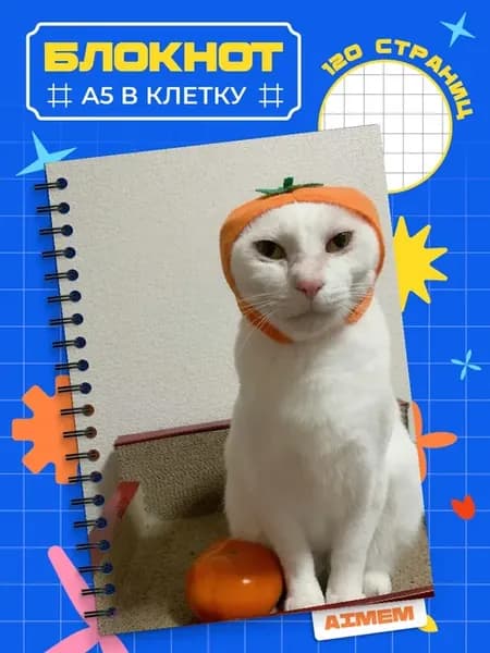 Блокнот Котик, Кот, Котэ, Мемы Приколы. А5 (14,8x21см)