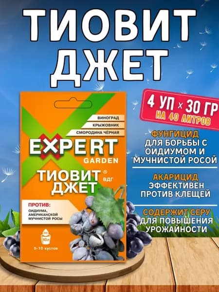 Тиовит джет от болезней и паутинного клеща