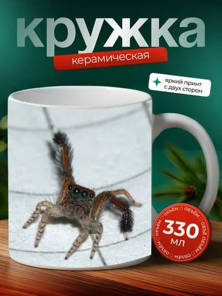 Кружка Амирок паук паукообразное 15