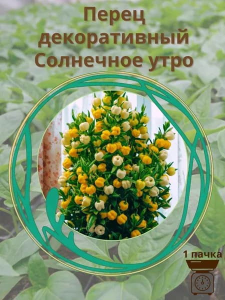 Перец декоративный Солнечное утро 10 шт. семян