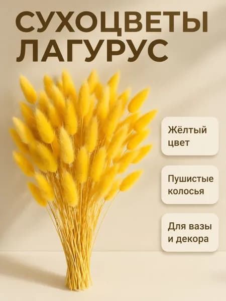 Сухоцветы Лагурус, 55 см, 100 гр, 60 шт