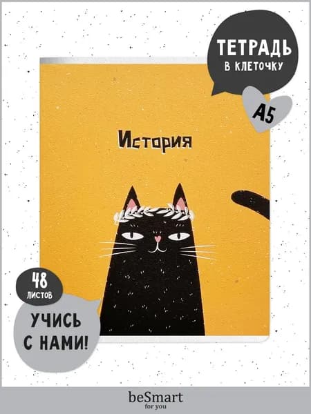 Тетрадь предметная школьная по Истории beSmart "Silly" на скрепке, А5 на 48 листов в клетку с полями, мягкая обложка