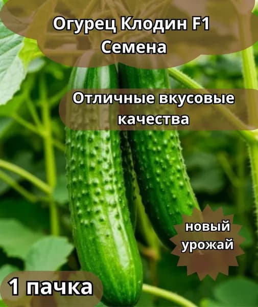 Огурец "КЛОДИН" F1 Семена