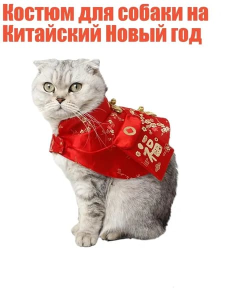 Костюм для собаки на Китайский Новый год, красный - XS