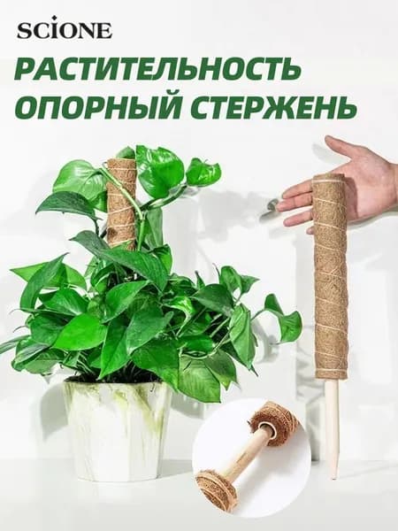 Подставка для цветов х 4.5 см х 60 см