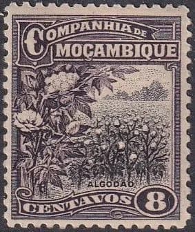 Мозамбик1925 8с