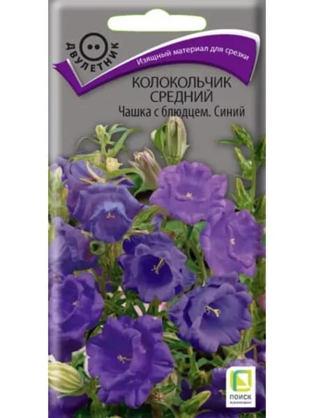 Семена Колокольчик сорт Чашка с блюдцем Синий