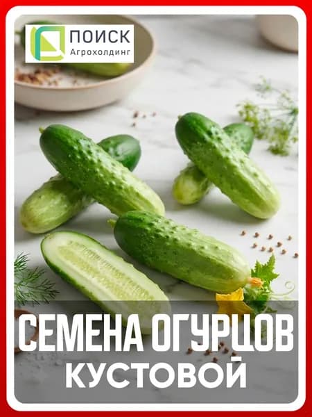 Семена Огурцов "Кустовой" 0,5 гр, пчелоопыляемые, для дома, дачи и огорода, в открытый грунт, в контейнер.