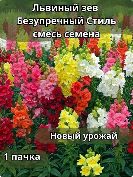 Львиный зев Безупречный Стиль,смесь, семена 10шт