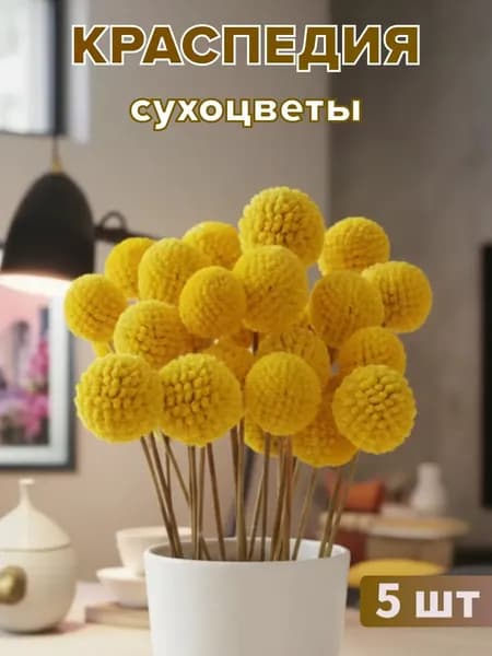 Сухоцветы 42 см 5 шт желтый