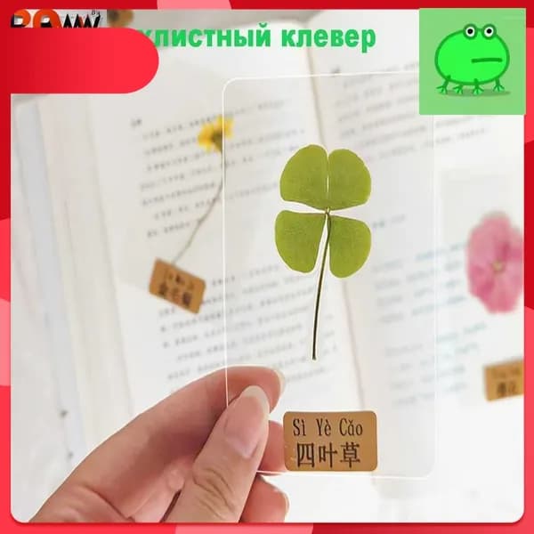 Настоящий четырехлистный клевер, амулет, приносит удачу, отгоняет невезение и сохраняет его сухим и постоянным.
