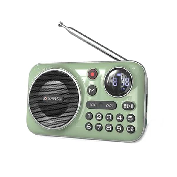 Многофункциональная открытая FM-радиоподдержка TF-карта FLAC-APE-APERS-DECODER F21