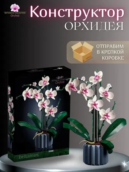 Botanic цветы Орхидея