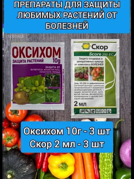 Оксихом фунгицид для растений от фитофтороза мучнистой росы