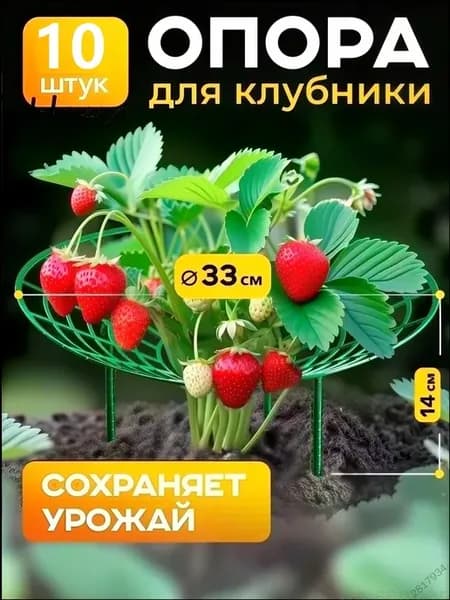 Опора для растений кольцевая, 30 см, 10 шт