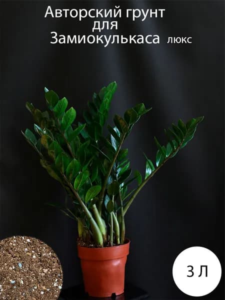Грунт для замиокулькаса люкс 3 литра