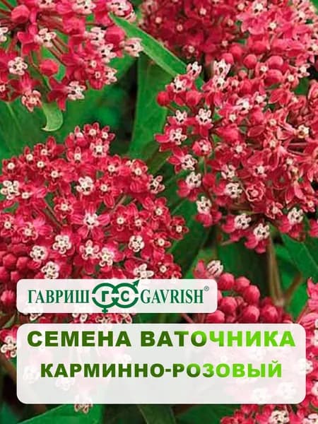 Семена Ваточника "Карминно-розовый" 0,03 гр.
