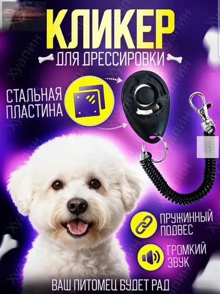 Кликер