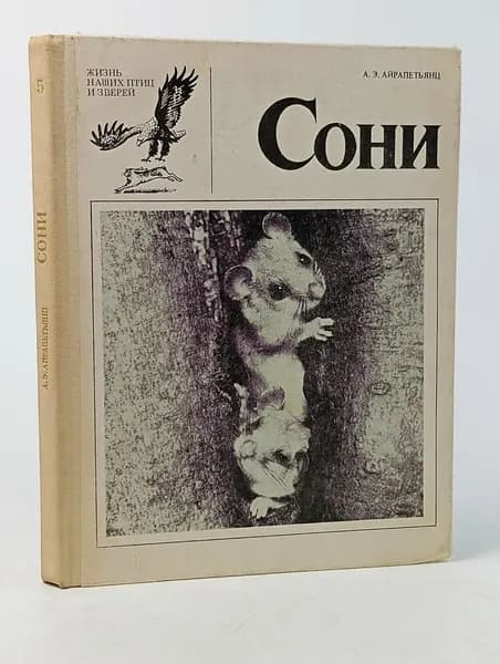 Сони. Айрапетьянц Анна Эрвандовна | Айрапетьянц Анна Эрвандовна