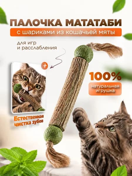 Палочка мататаби с шариками кошачьей мяты, жевательная игрушка для кошек