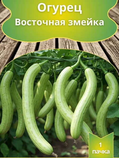 Огурец Восточная змейка , семена 10 шт.