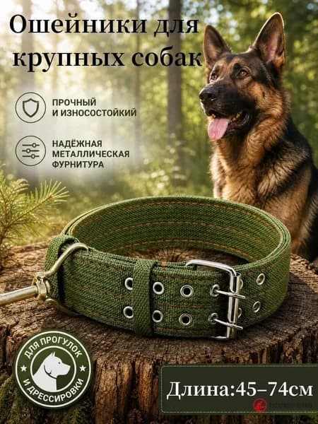 Ошейник брезентовый для средних/крупных собак, прочный регулируемый с металлической фурнитурой, для прогулок и дрессировки