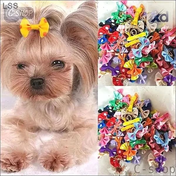 C-shop-Украшение из резинок "Бант Йорки" для маленьких собак (набор из 10 штук)